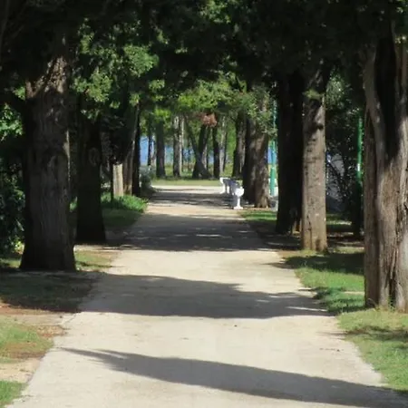 Queen Beach Sabunike - Green Street I * Nin