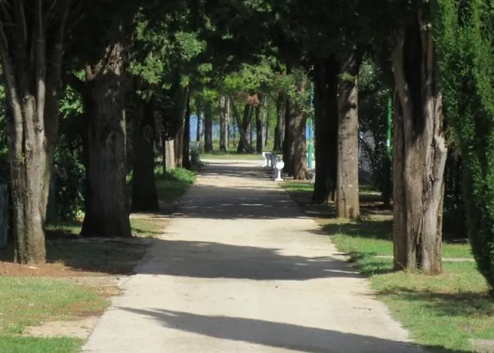 Queen Beach Sabunike - Green Street I * Nin