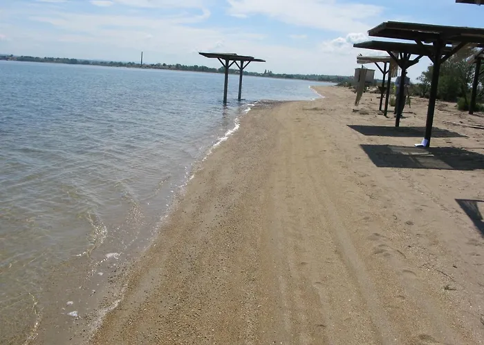 Queen Beach Sabunike - Green Street I